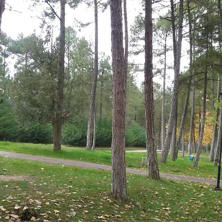 Camping Caravaning Cuenca เกว็งกา ภายนอก รูปภาพ