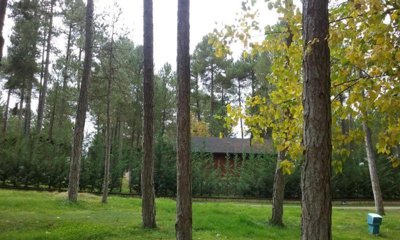 Camping Caravaning Cuenca เกว็งกา ภายนอก รูปภาพ