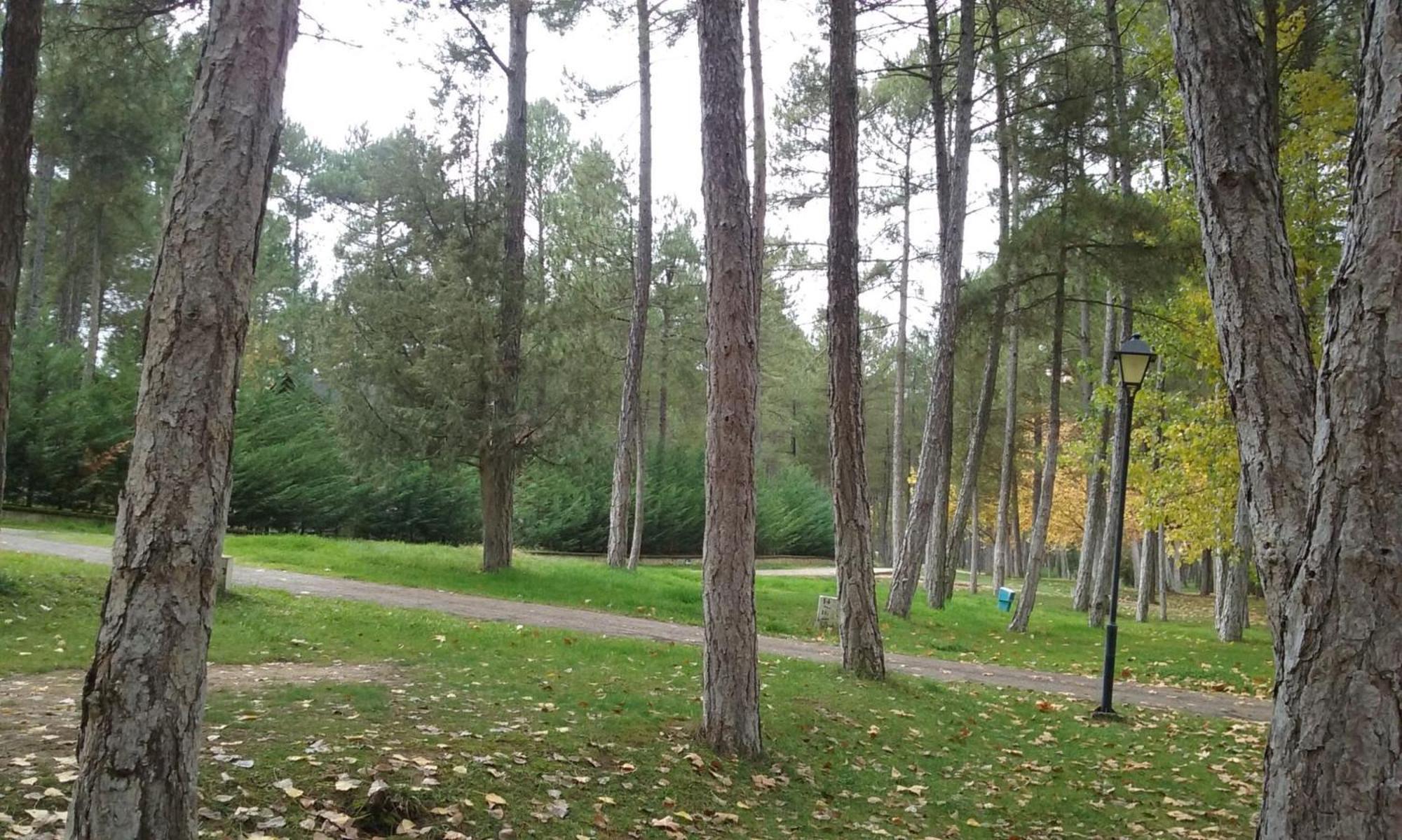 Camping Caravaning Cuenca เกว็งกา ภายนอก รูปภาพ