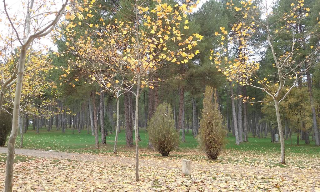 Camping Caravaning Cuenca เกว็งกา ภายนอก รูปภาพ